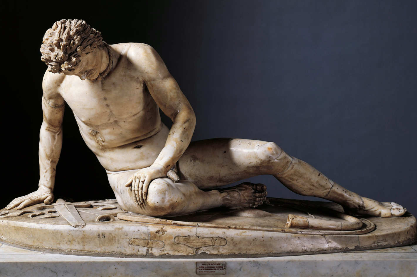 The Dying Gaul 800