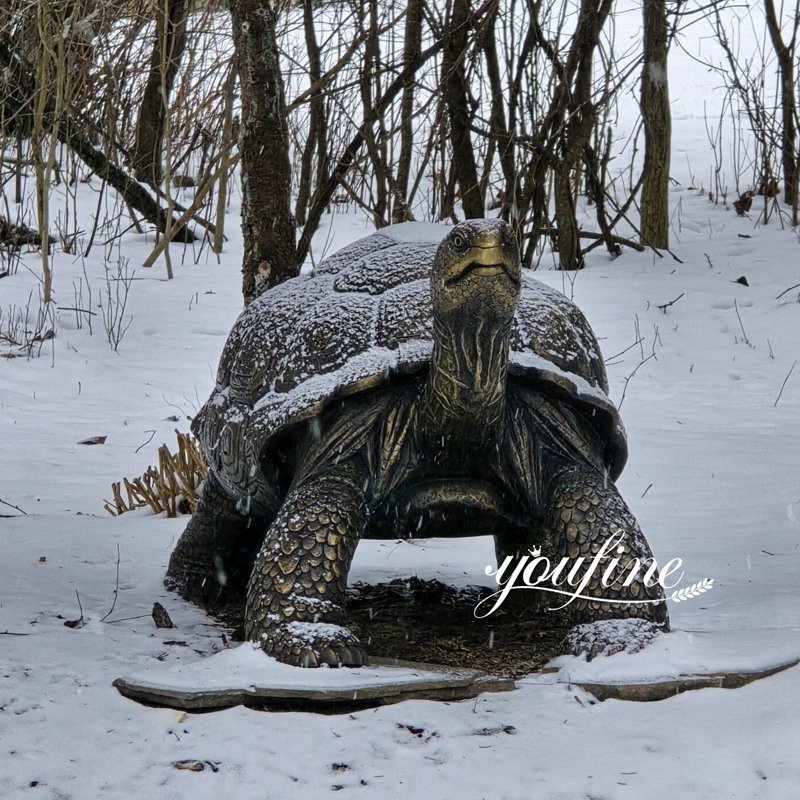 American bronze tortoise statue feedback in winter