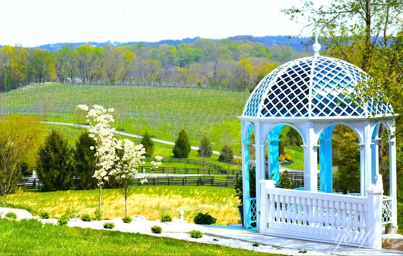American lavender manor white iron gazebo