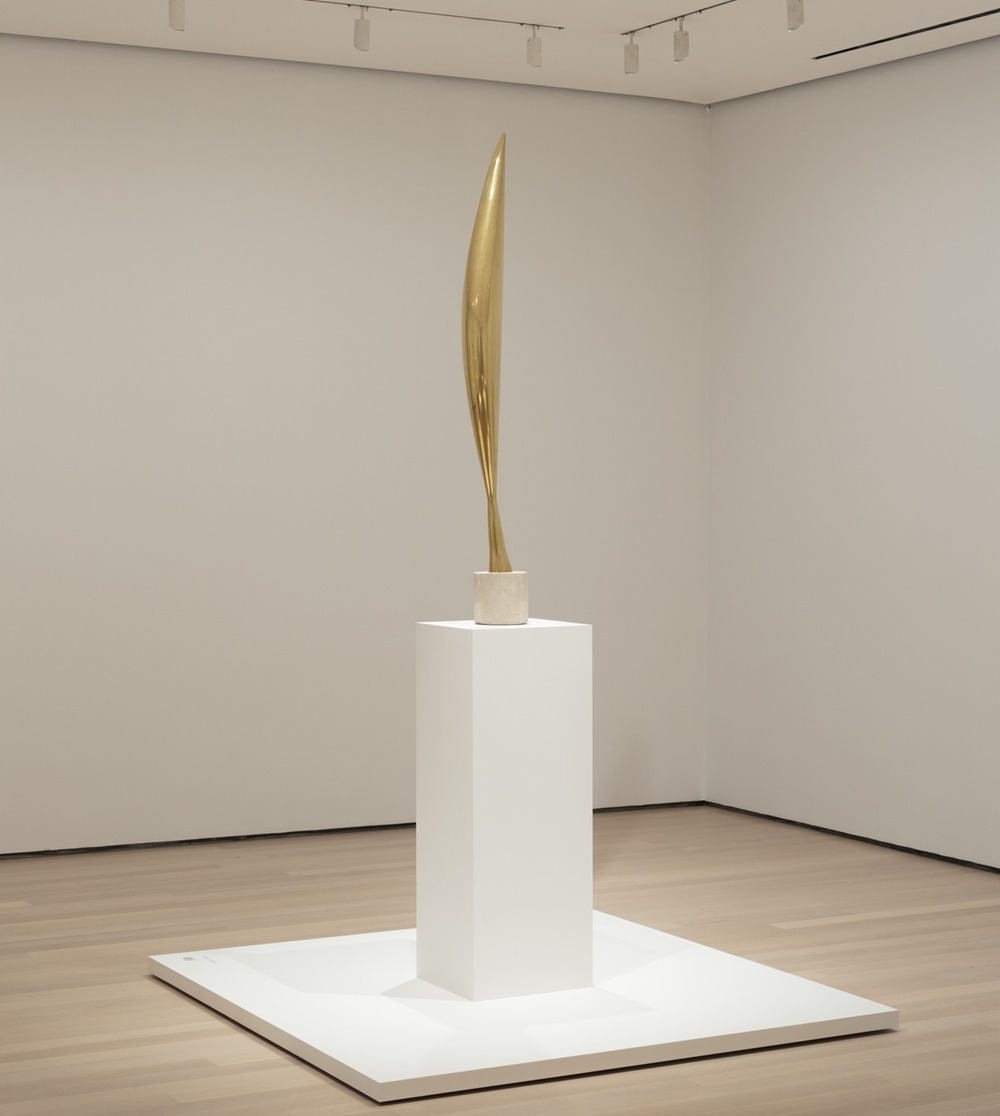 Bird in Space by Constantin Brâncuși