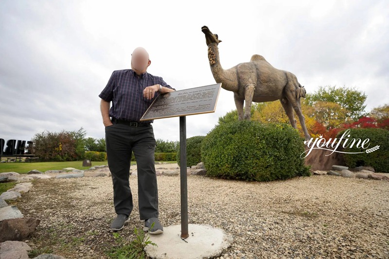 Bronze Camel Statue Application