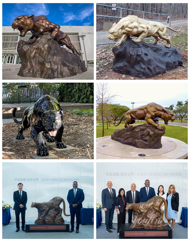 Bronze Panther Statue Feedback