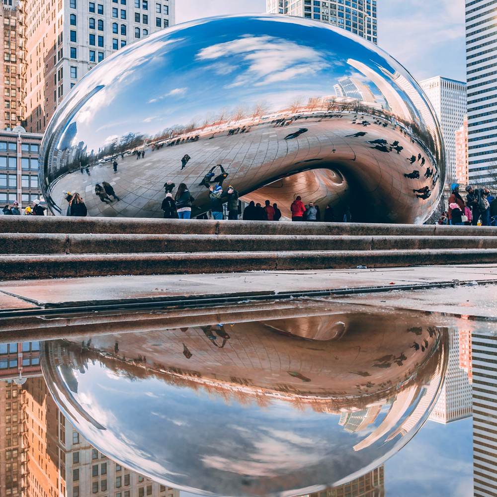 Double Mirror Reflection of The Bean in a Puddle After Rain