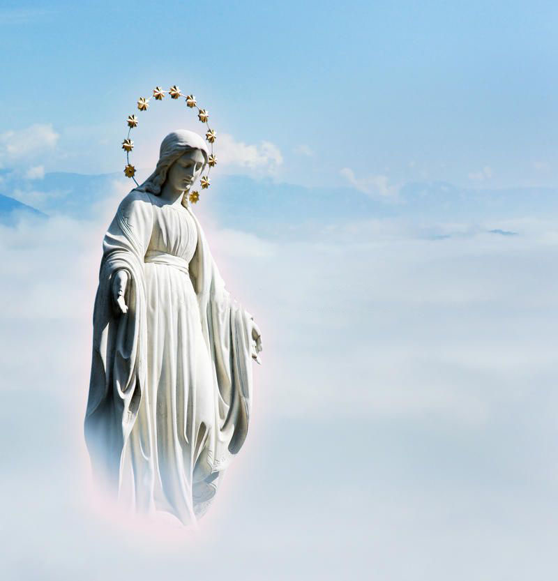 Fantastic Virgin Mary Statue - YouFine Sculpture