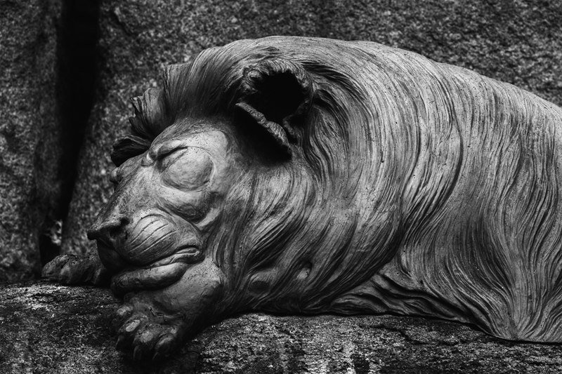 Large Bronze Lion Statue