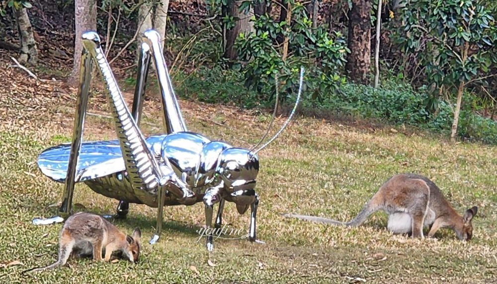 Latest feedback on the Australian stainless steel grasshopper sculpture