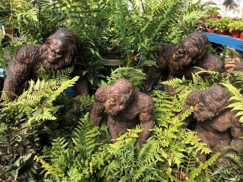 Life Size Bronze Bigfoot Garden Statue for Sale BOK1-319