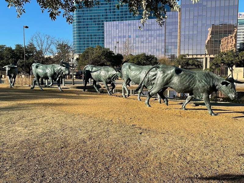 Longhorn Steers Bronze Cattle Sculpture