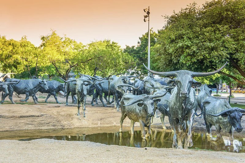 Longhorn Steers Bronze Cattle Sculpture