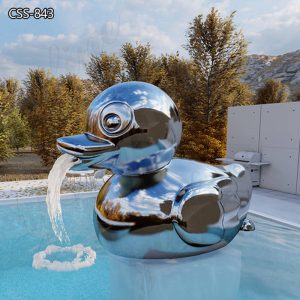  » Modern Cute Duck Stainless Steel Pool Waterfall for Sale CSS-843