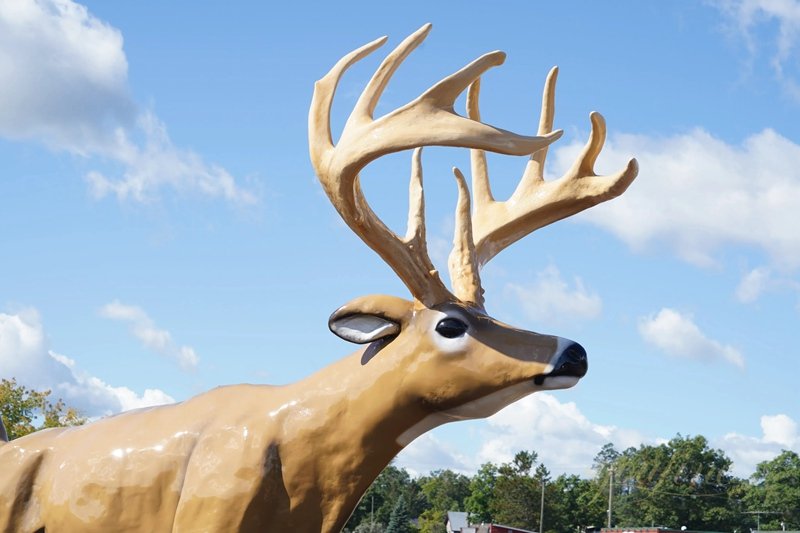 Vividly Giant Jordan Buck Statue for Public