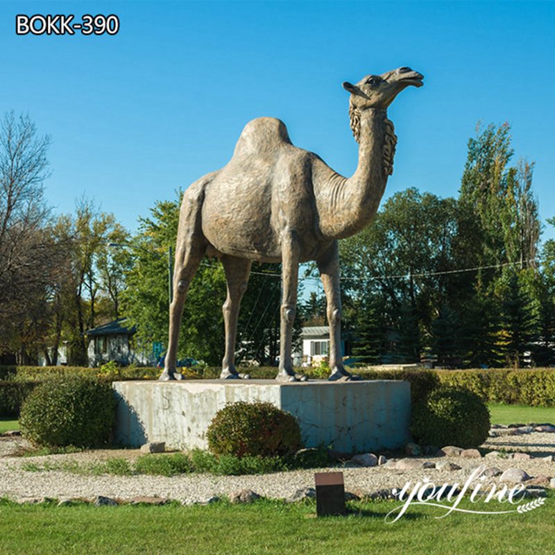 Outdoor Life Size Bronze Camel Statue for Sale