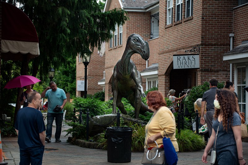 bronze dinosaur statue application