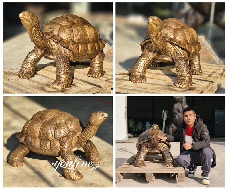 brown bronze large tortoise statue details