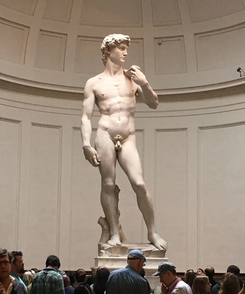 Michelangelo's David Sculpture